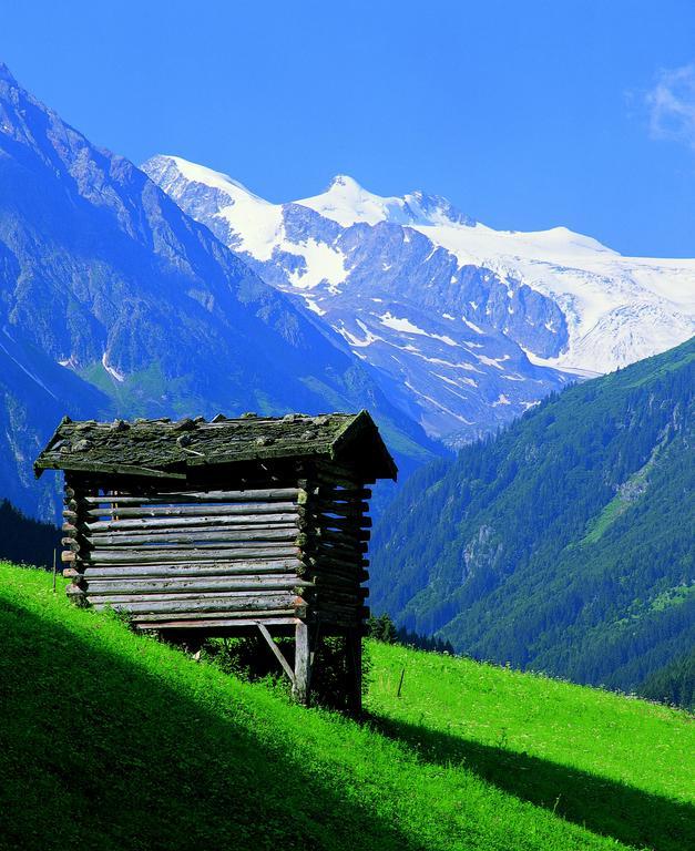 Haus Egger Apartman Neustift im Stubaital Kültér fotó