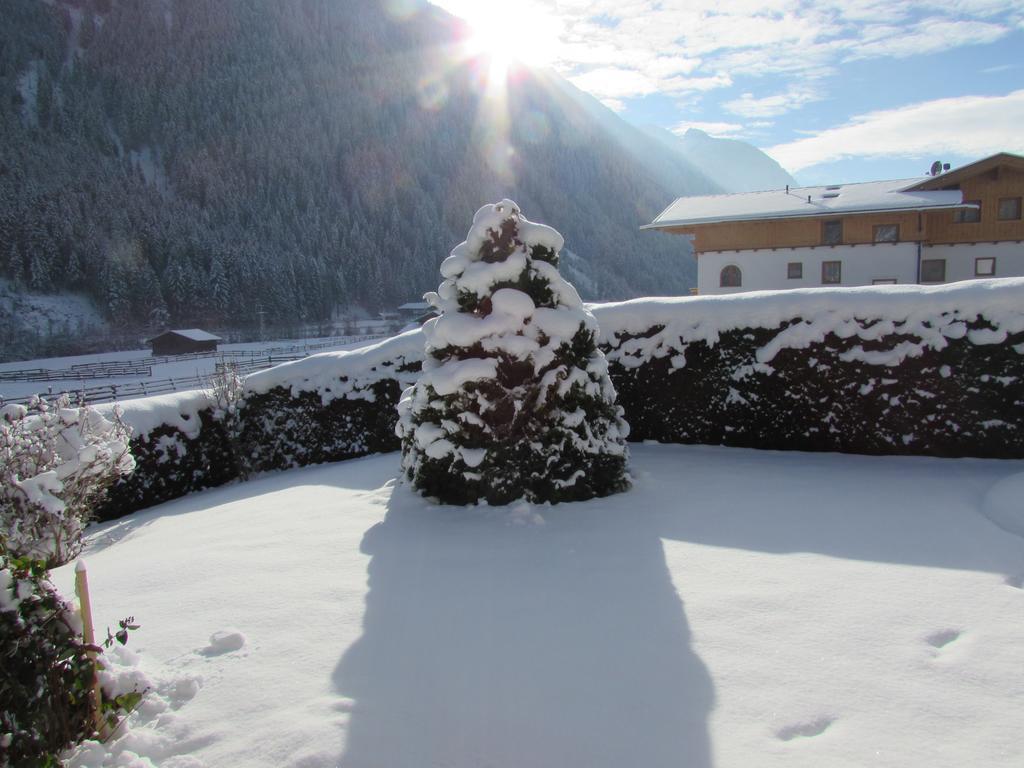 Haus Egger Apartman Neustift im Stubaital Kültér fotó
